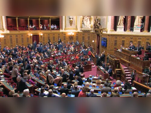 ©  Sénat (capture d'écran)