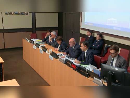 ©  Assemblée nationale / capture d'écran