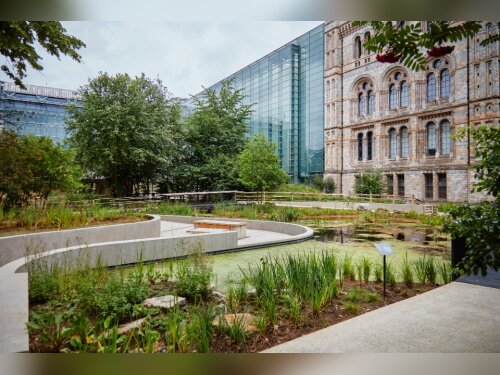 ©  Conseil d'administration du Musée d'Histoire naturelle de Londres
