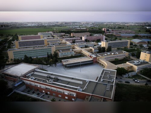 ©  Universidad Pablo de Olavide