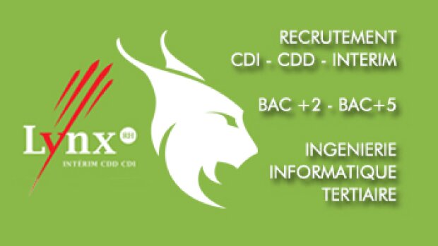 Lynx RH, le premier réseau de recrutement franchisé