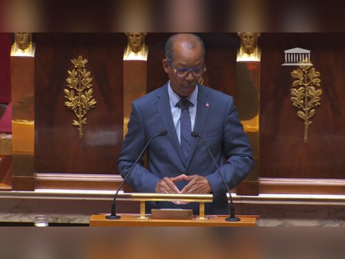 ©  Assemblée nationale (capture d'écran)