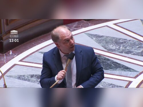 ©  Assemblée nationale (capture d'écran)
