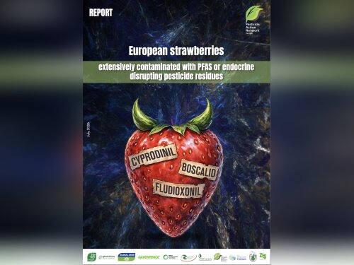 ©  PAN Europe