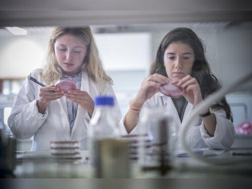 ©  France Universités- Université de Haute-Alsace