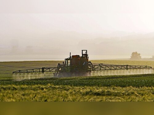 ©  hpgruesen / Pixabay