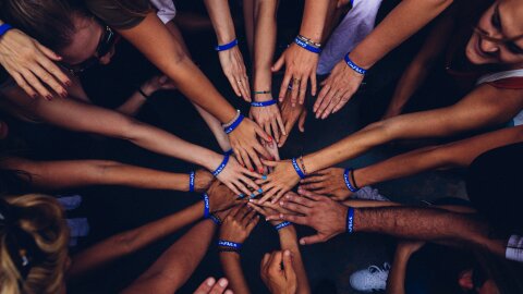 Une enquête menée en 2019 auprès de 82 établissements a permis de constituer un guide de 36 pages - © Photo by Perry Grone on Unsplash