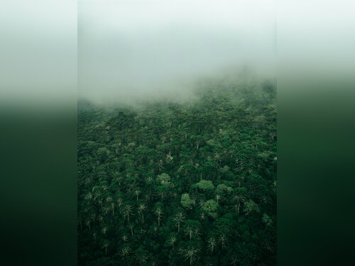 ©  Unsplash