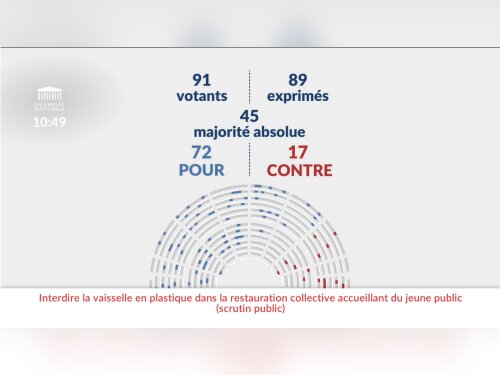 ©  Assemblée nationale (capture d'écran)