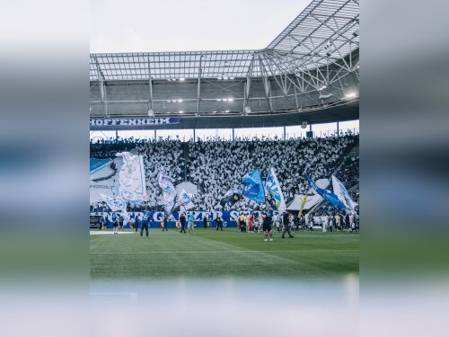 ©  TSG 1899 Hoffenheim