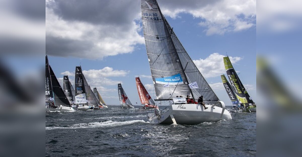 News Tank Sport FF Voile Ultim Sailing désigné pour