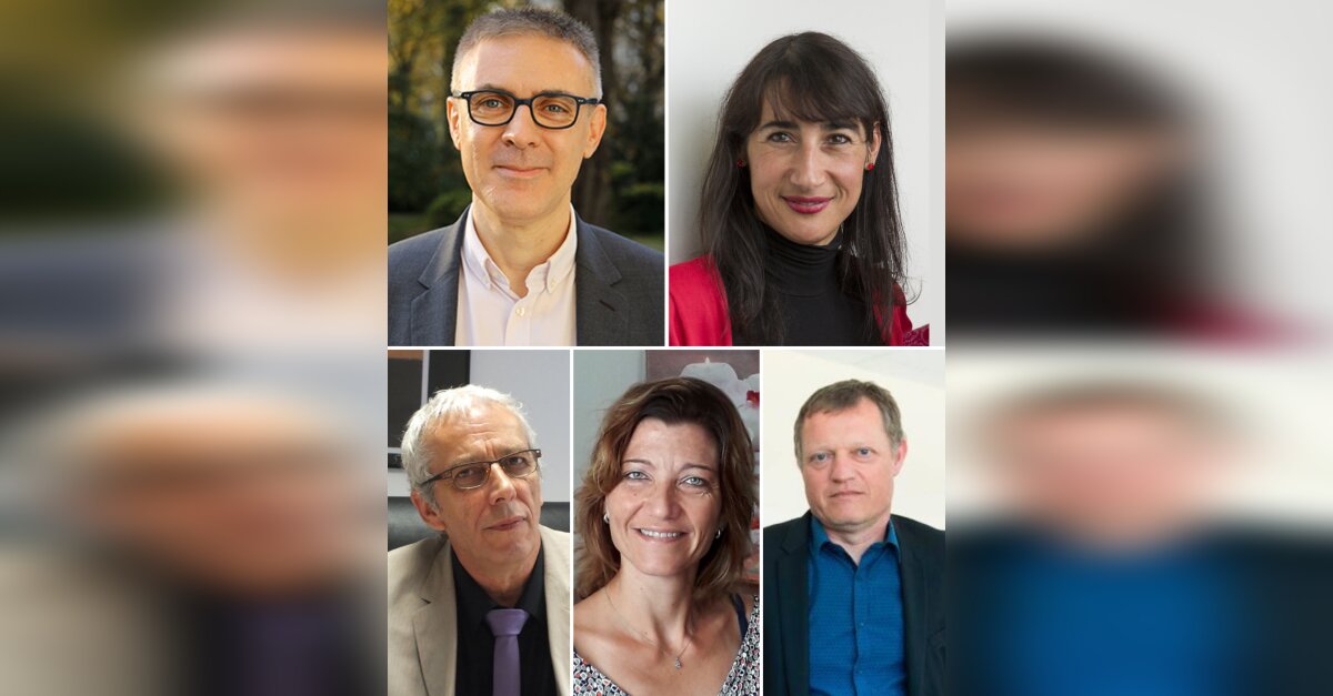 News Tank Éducation & Recherche Réseau des Inspé plusieurs points d