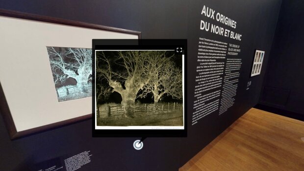 Numérique au musée : offre payante et diversifiée pour l'exposition "Noir et Blanc" au Grand Palais
