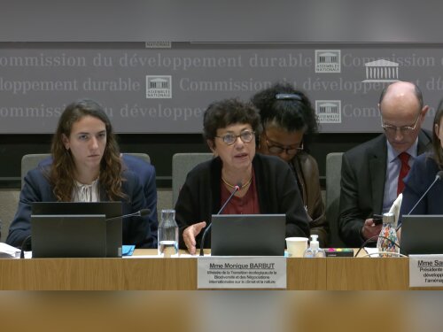 ©  Capture d'écran