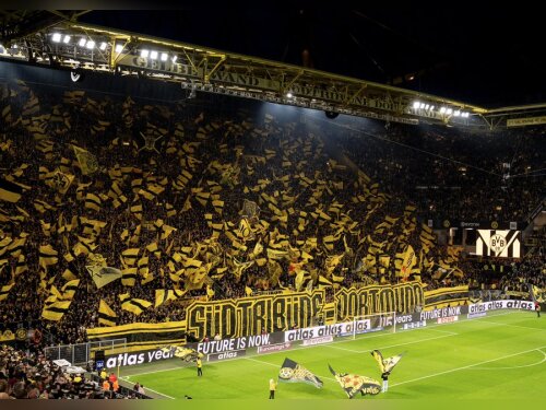 ©  BVB