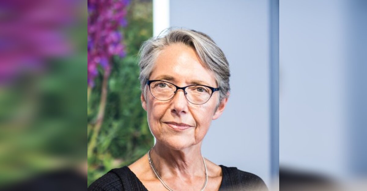 Gouvernement: Élisabeth Borne, ministre du Travail, de l'Emploi et de l ...