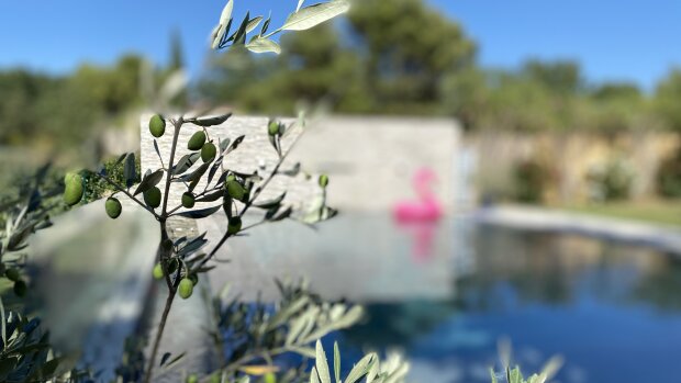 L'équipe d'ImmoMatin vous souhaite de bonnes vacances ! Retour de l'information le 17 août.