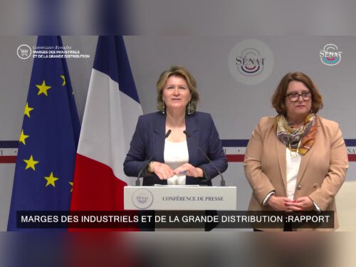 ©  Capture d'écran - Sénat