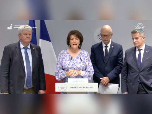 ©  Capture d'écran
