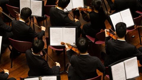 Les soft skills au cœur de la performance collective - DR