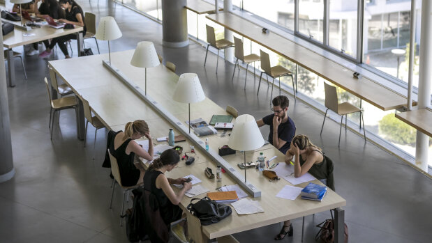 L Universite De Montpellier Recherche Un Ou Une Responsable Du Service Qualite De Vie Au Travail