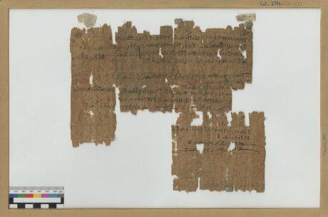 ©  Museo Egizio