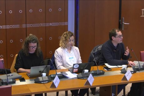 ©  Capture d'écran