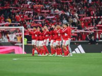 ©  SL Benfica