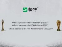 ©  FIFA
