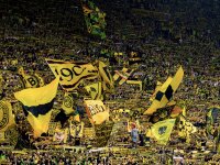 ©  BVB