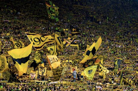©  BVB
