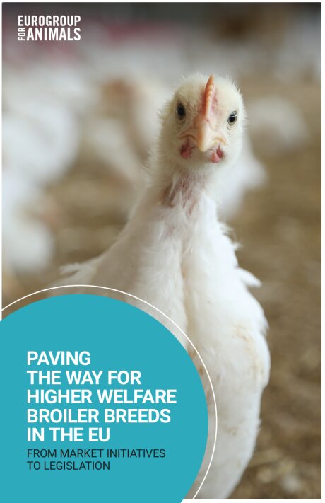©  Eurogroup for animals