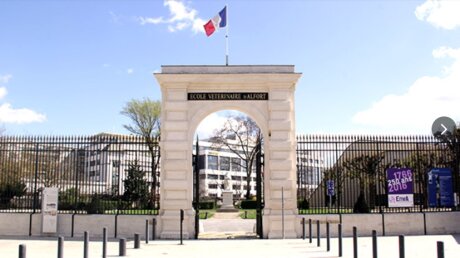 ©  Capture d'écran - Google Maps