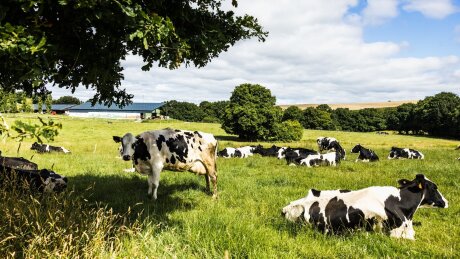 ©  Région Bretagne