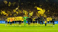 ©  BVB