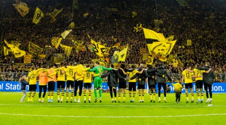 ©  BVB