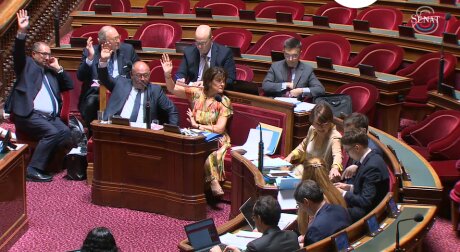 ©  Capture d'écran - Sénat