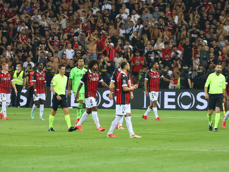©  OGCN