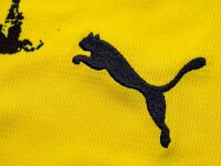©  Borussia Dortmund