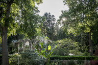 ©  Conférence des présidents d'université – Université de Montpellier