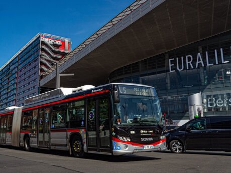 ©  CC BY-SA 4.0 - Mohamed Sy, Wikimédia commons