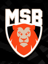 ©  MSB