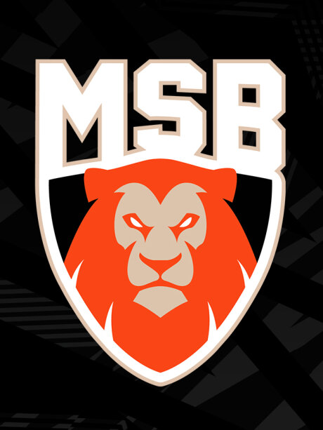 ©  MSB