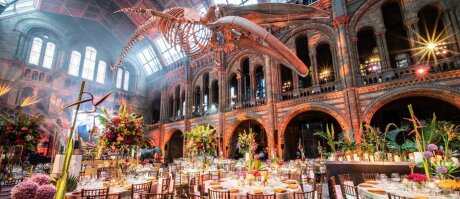 ©  Trustees of the Natural History Museum, London, twobytwo & Just Seventy