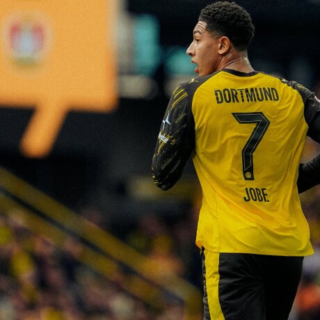 ©  BVB