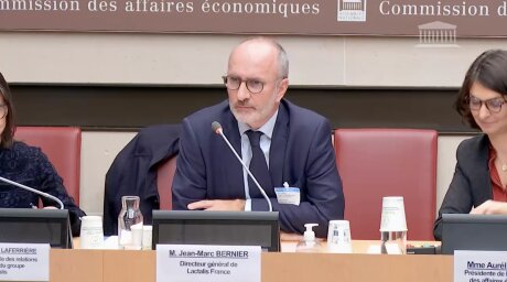 ©  Capture d'écran / Assemblée nationale