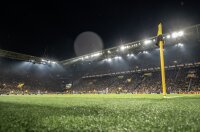 ©  BVB