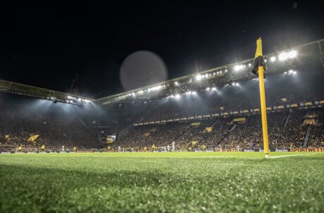©  BVB