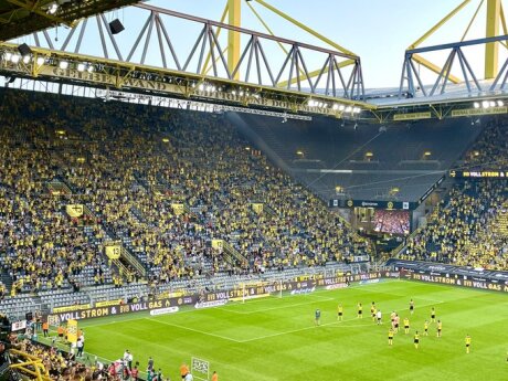©  BVB