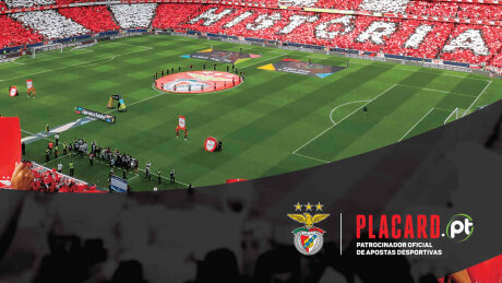 ©  SL Benfica